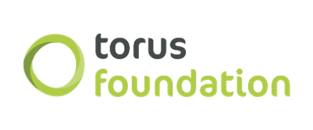 Torus Foundation organisation logo 