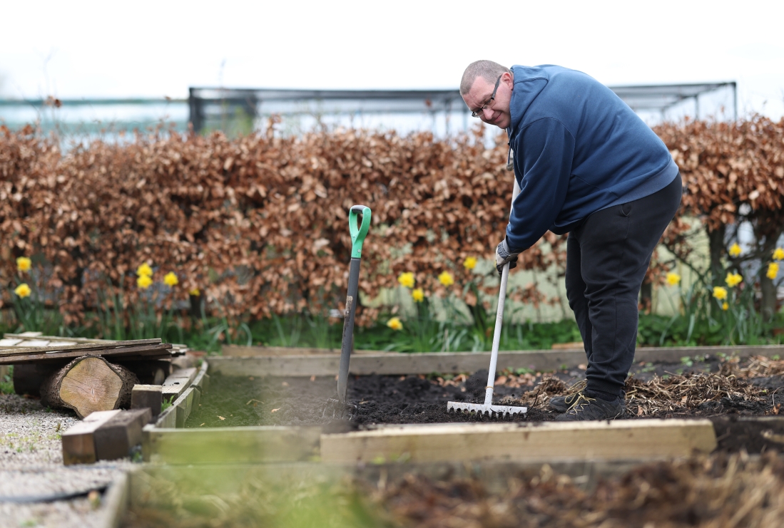Colin at the allotment